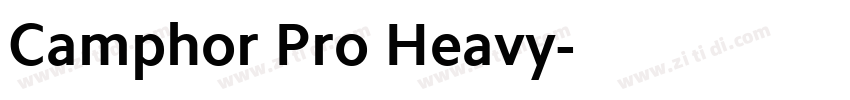 Camphor Pro Heavy字体转换